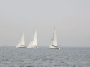 RIMG1100.jpg