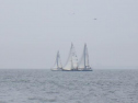 RIMG1103.jpg