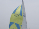 RIMG1114.jpg