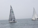 RIMG1121.jpg