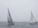 RIMG1122.jpg