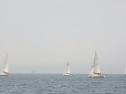 RIMG1125.jpg