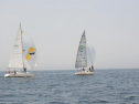 RIMG1126.jpg