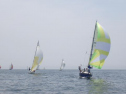 RIMG1130.jpg