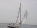 RIMG1133.jpg