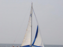 RIMG1140.jpg