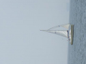 RIMG1142.jpg