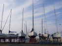 RIMG0654.jpg