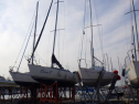 RIMG0655.jpg