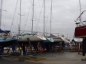 RIMG0671.jpg