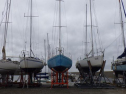 RIMG0673.jpg