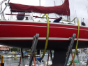 RIMG0681.jpg