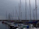 RIMG0703.jpg