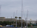 RIMG0708.jpg