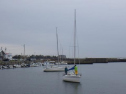 RIMG0716.jpg