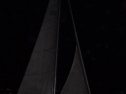 RIMG1268.jpg