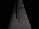 RIMG1272.jpg