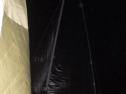 RIMG1274.jpg