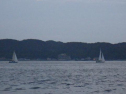 RIMG1302.jpg