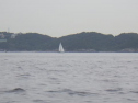 RIMG1309.jpg