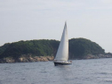 RIMG1338.jpg