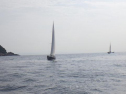 RIMG1339.jpg