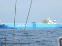 RIMG1341.jpg