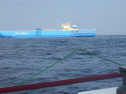 RIMG1342.jpg