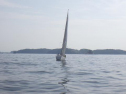 RIMG1346.jpg