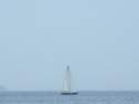 RIMG1351.jpg