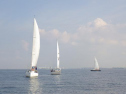 RIMG1635.jpg