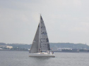 RIMG1639.jpg