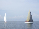 RIMG1641.jpg