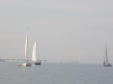 RIMG1642.jpg