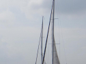 RIMG1645.jpg
