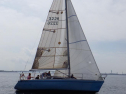 RIMG1668.jpg