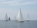 RIMG1673.jpg