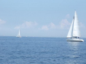 RIMG1677.jpg