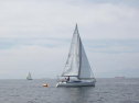 RIMG1712.jpg