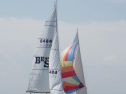 RIMG1713.jpg