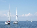 RIMG1716.jpg