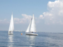 RIMG1737.jpg