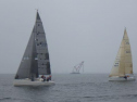 RIMG2059.jpg
