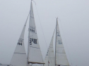 RIMG2068.jpg
