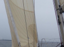 RIMG2073.jpg