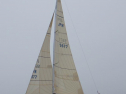 RIMG2075.jpg