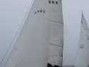 RIMG2090.jpg