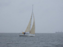RIMG2097.jpg