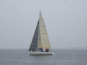 RIMG2117.jpg