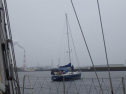 RIMG2118.jpg